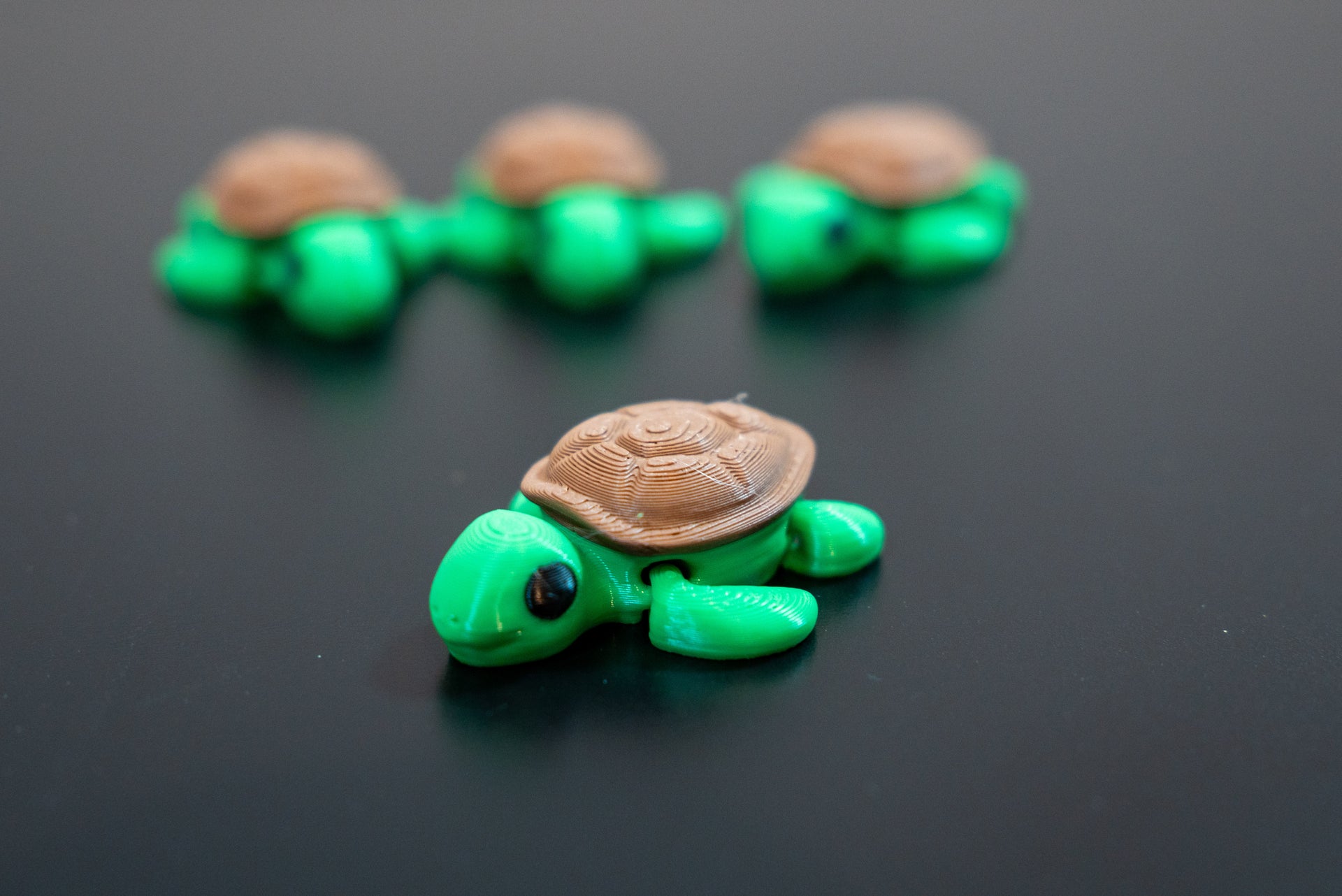 TinyTurtle